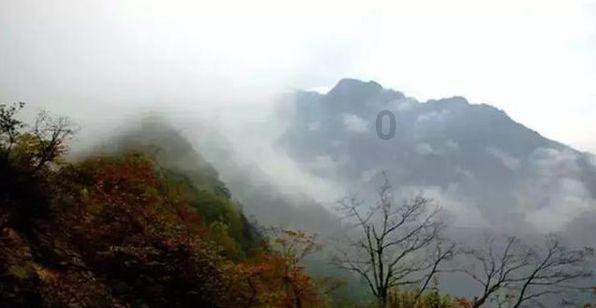 引球进框选关版