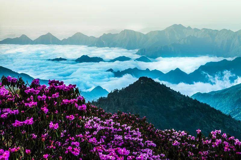 复古车循环赛